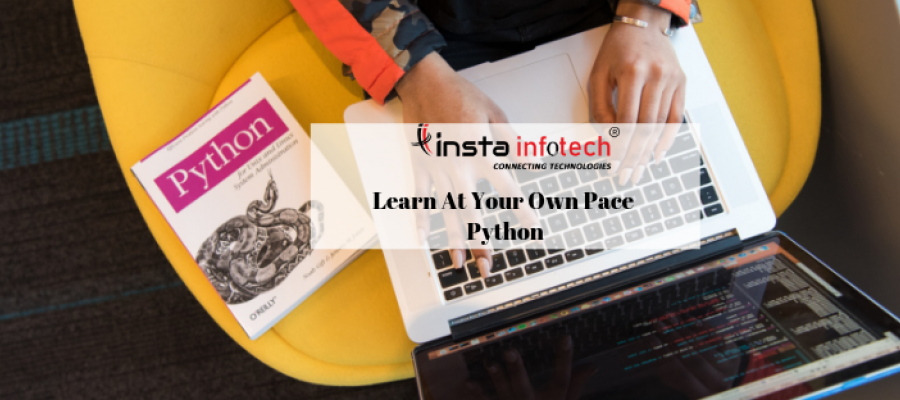 Pick up  High-Level Programming Language Python
