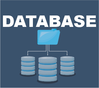 Database